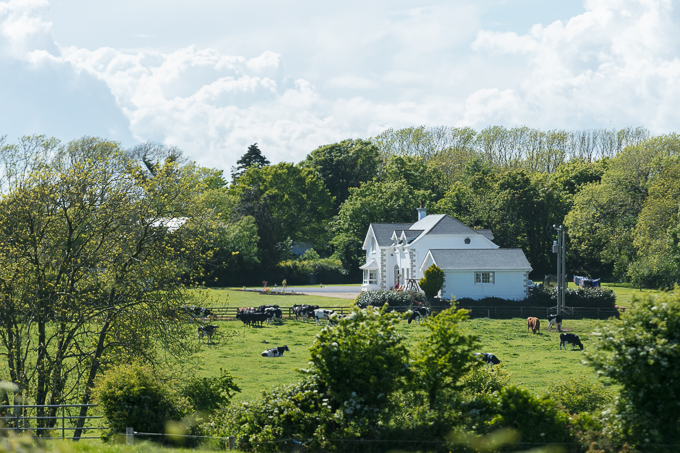 ireland may 2017 (11)
